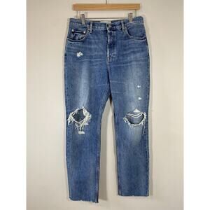 Everlane The‎ Cheeky Jean 30 Regular Medium Wash Distressed Straight Leg
